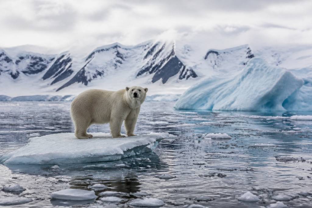 Actualité planète : les grands enjeux écologiques à suivre cette année